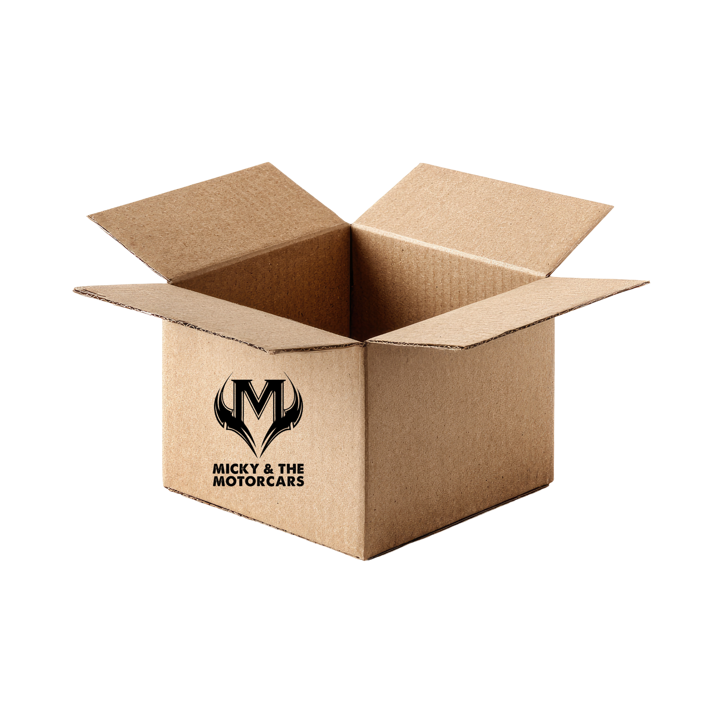Mystery Item